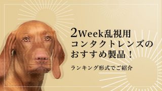 2Week乱視用コンタクトレンズのおすすめ製品！ランキングと最安値をご紹介のイメージ画像