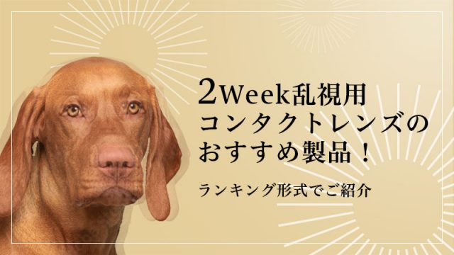 2Week乱視用コンタクトレンズのおすすめ製品！ランキングと最安値をご紹介のイメージ画像